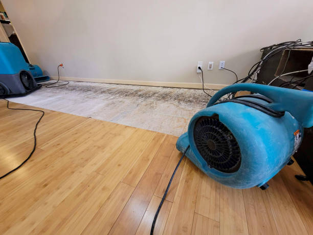 Professional Water Damage Repair technician working in Oakboro, NC